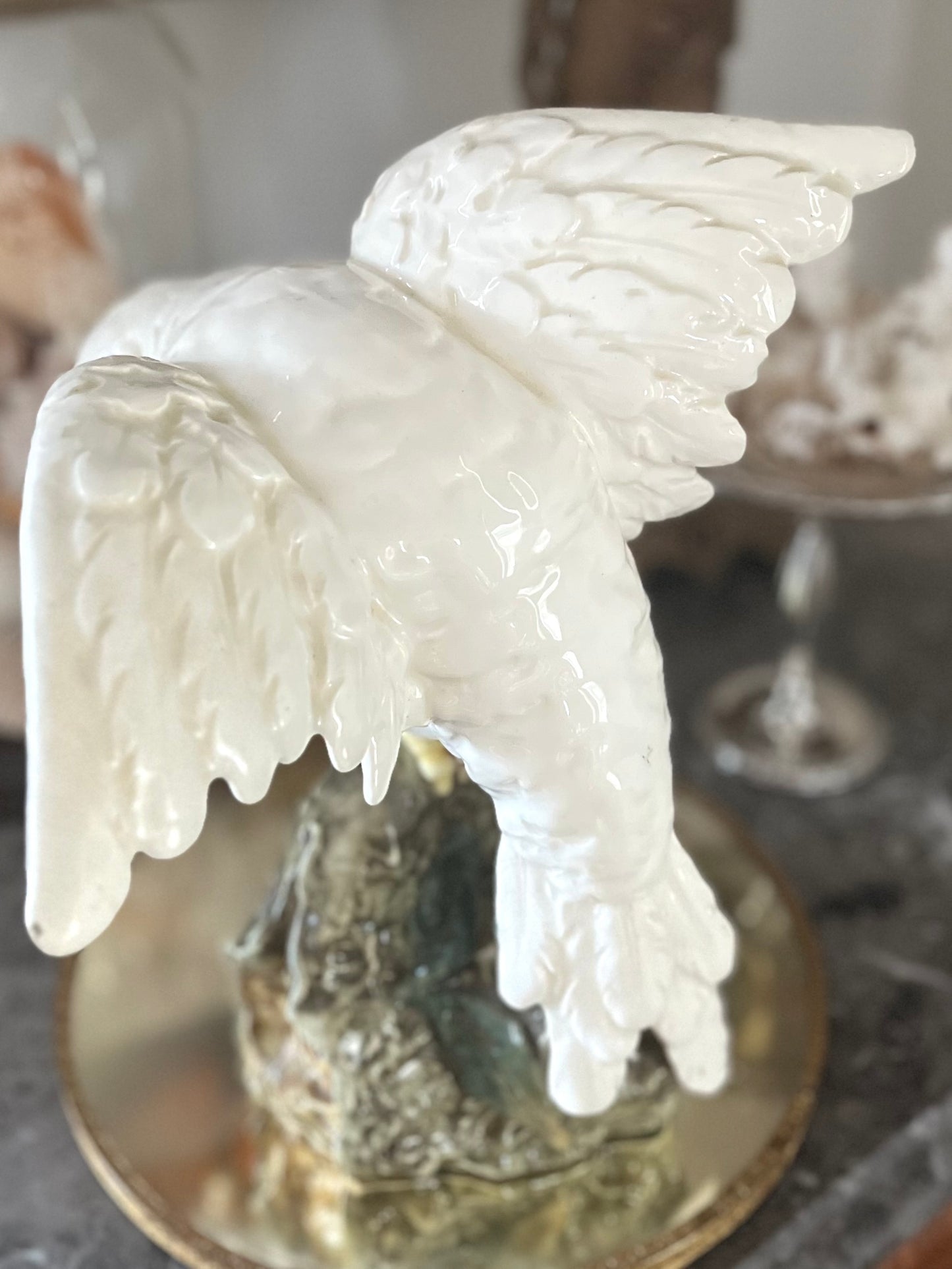 Live 08/25 Majolica Parrot Italian