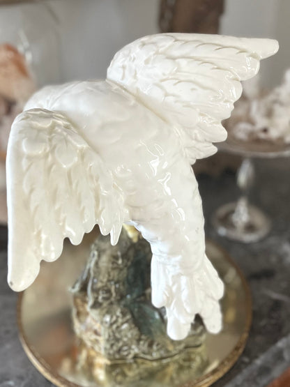 Live 08/25 Majolica Parrot Italian