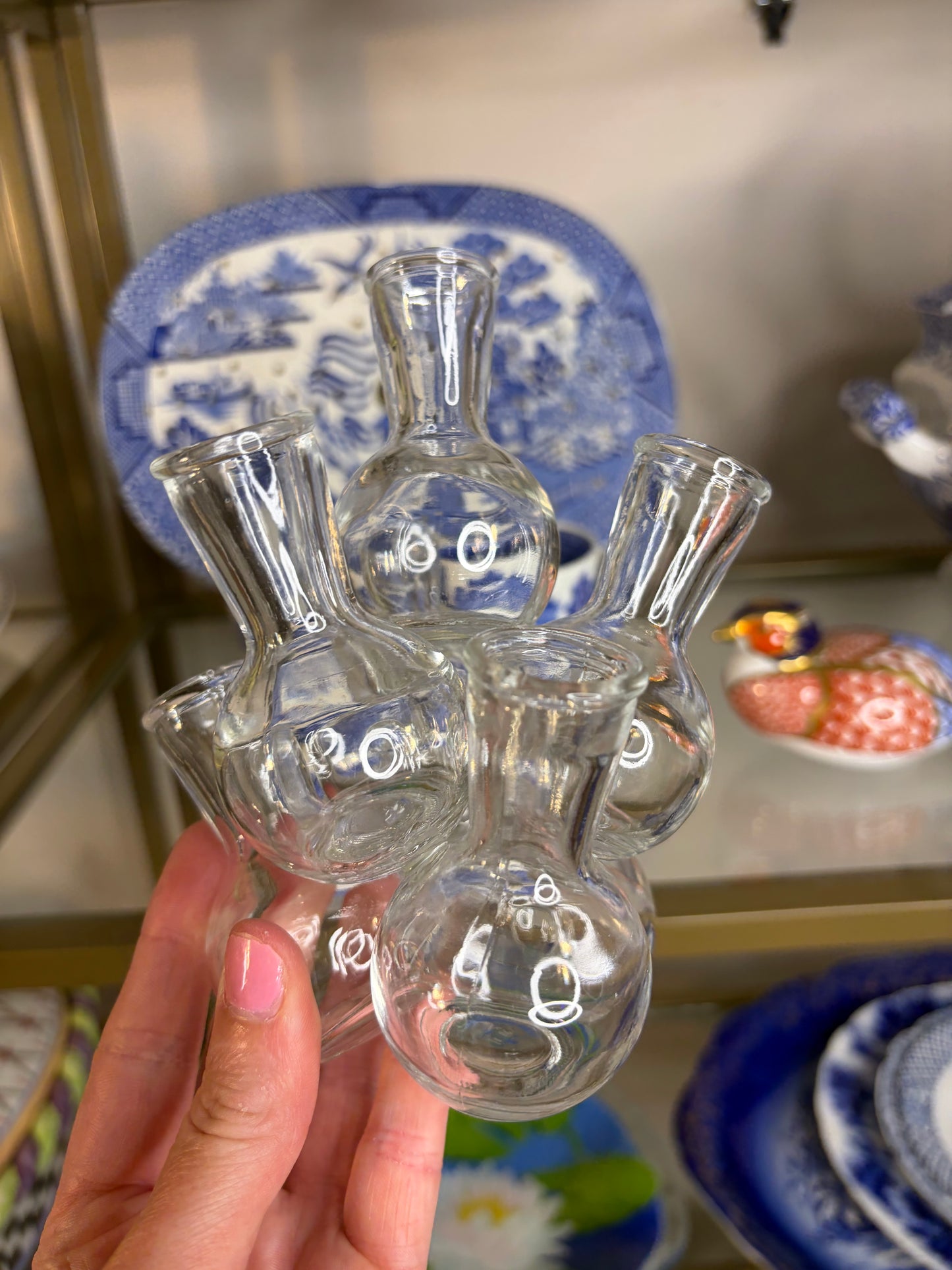 Vintage Propagation bud vases cluster!