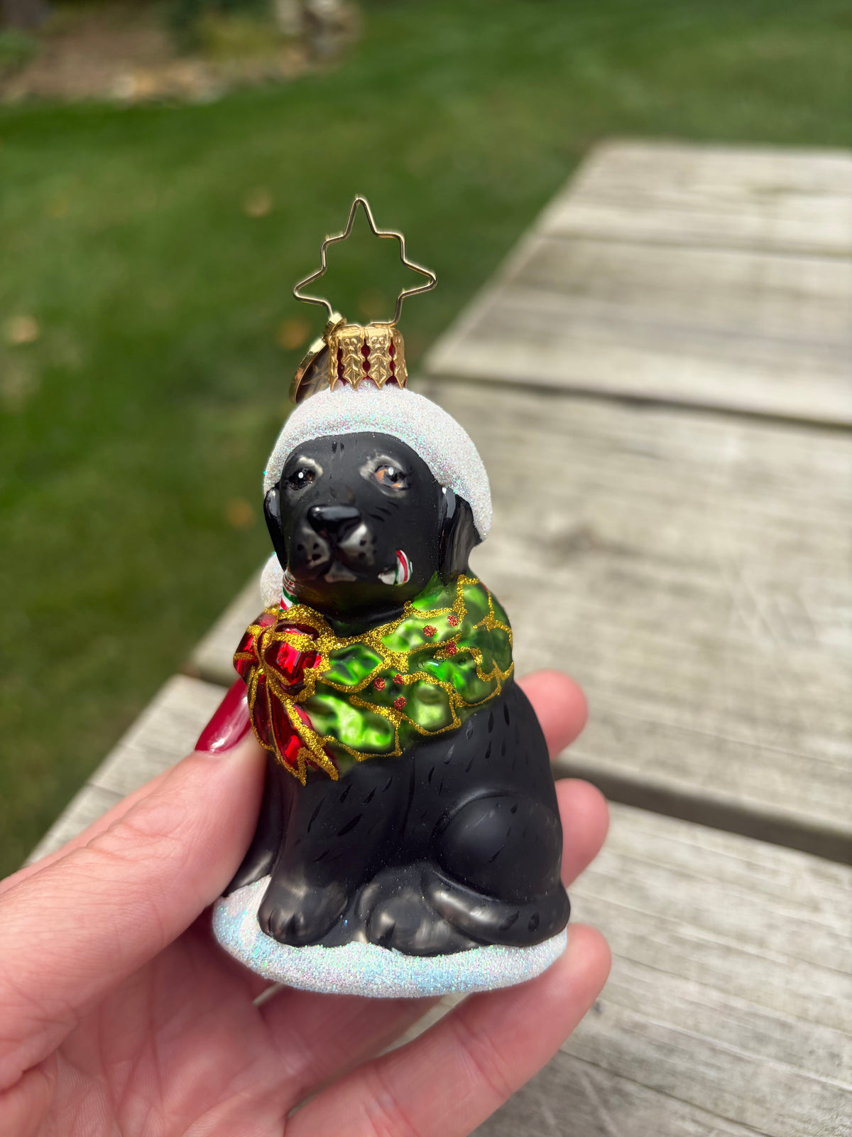 Sweetest Radko dog ornament!