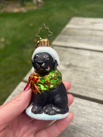 Sweetest Radko dog ornament!