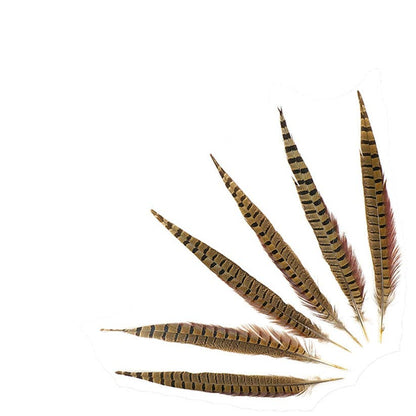 10 PC/PKG Ringneck Pheasant Tails 12-14" - Natural