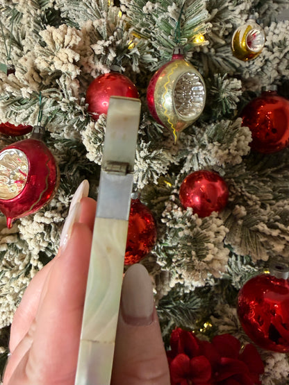 Stunning Antique Victorian Mother of Pearl “Calling Card Case”