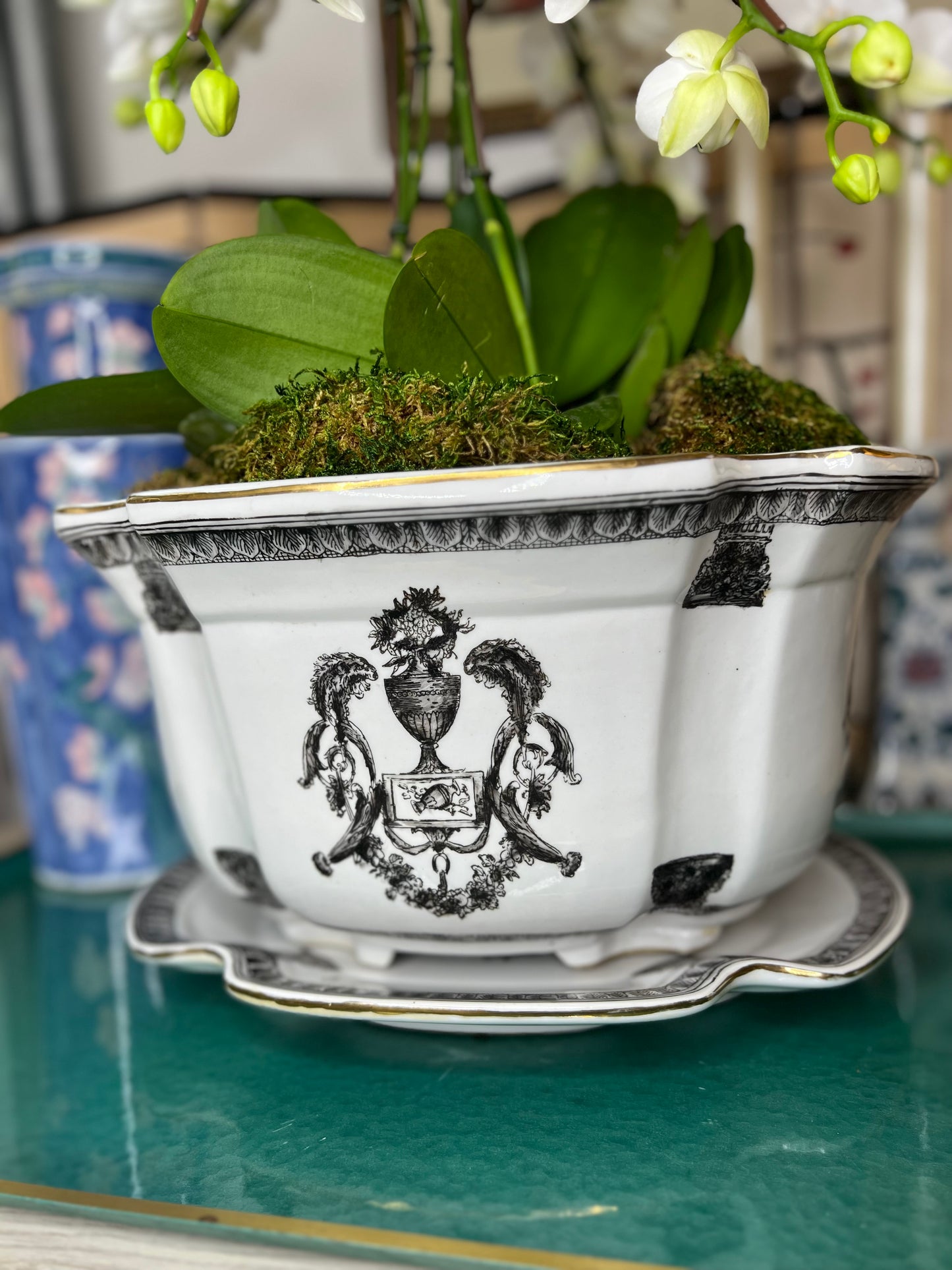 Absolutely Stunning Large Four Lobed Black and White Planter Cache Pot with Matching Bottom Plate