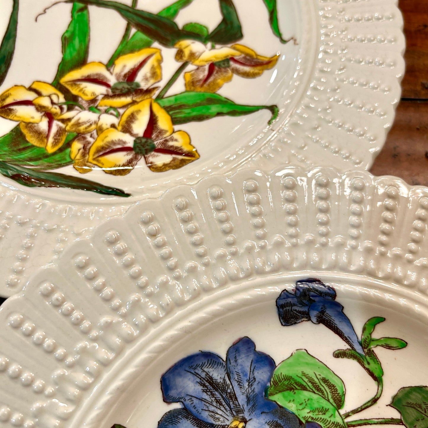 Set of 2 antique rare vintage designer botanical plates by Royal Cauldon England 10 d