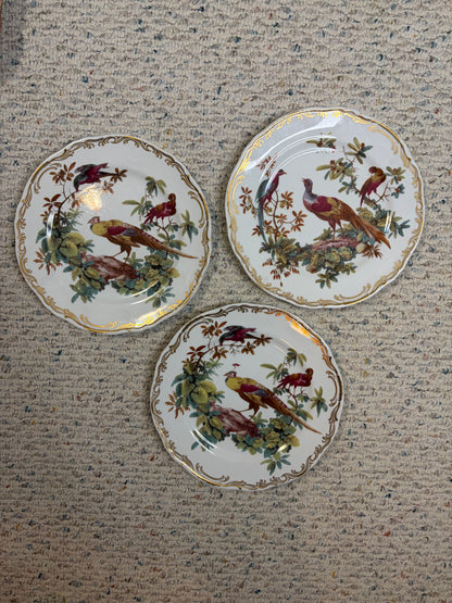 Gorgeous Andrea by Sadek Exotic birds plates set of 3!