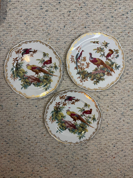 Gorgeous Andrea by Sadek Exotic birds plates set of 3!