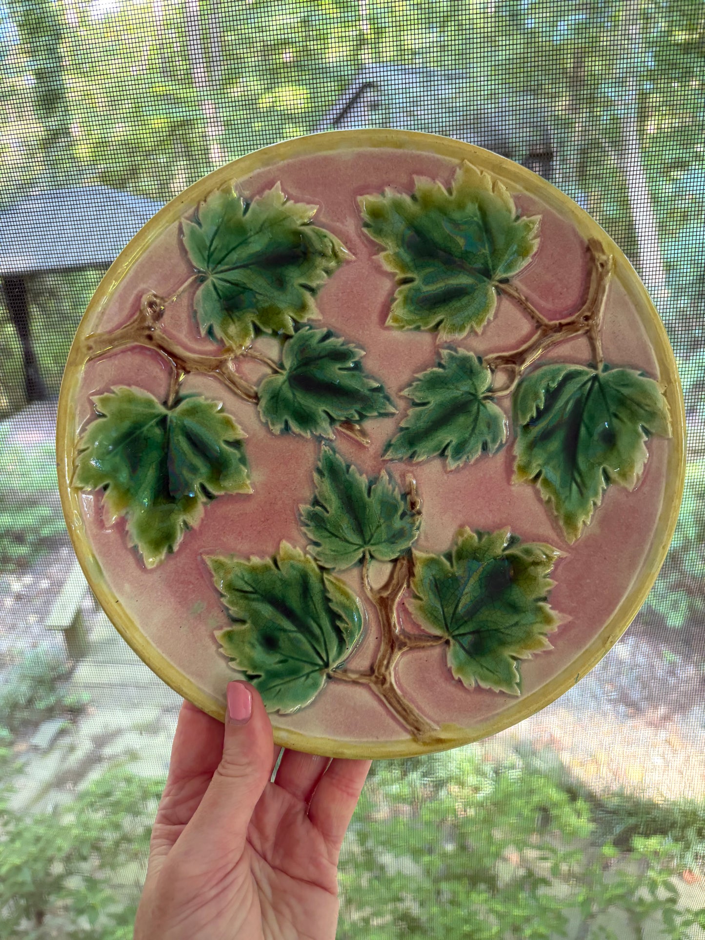 Gorgeous antique Griffin, Smith, and Hall majolica plate!