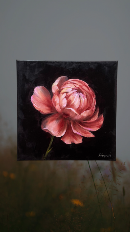 Pink peony original oil painting 12x12”