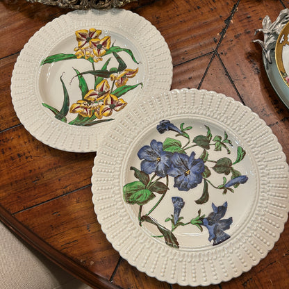 Set of 2 antique rare vintage designer botanical plates by Royal Cauldon England 10 d