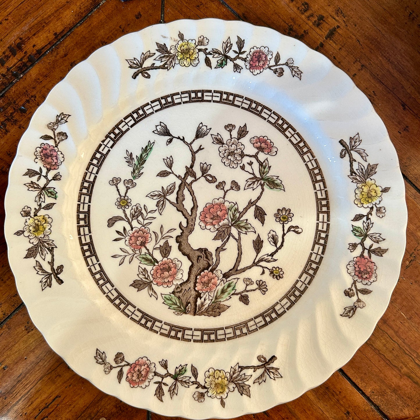 Set of 18 vintage Kashmir tree stunning scalloped dinner plates 10d