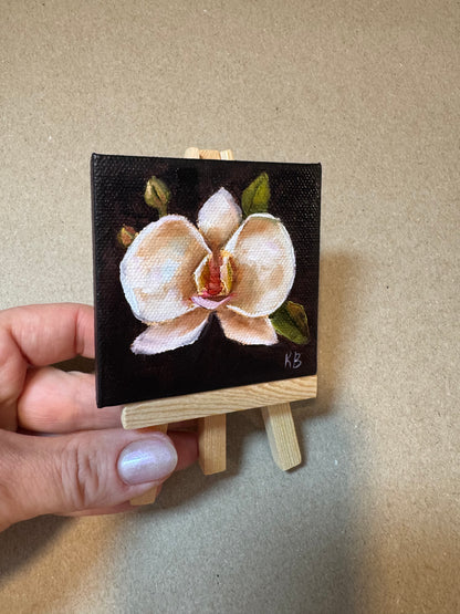 Live 06/19 mini art orchid original oil paintings on stretched canvas 3x3”