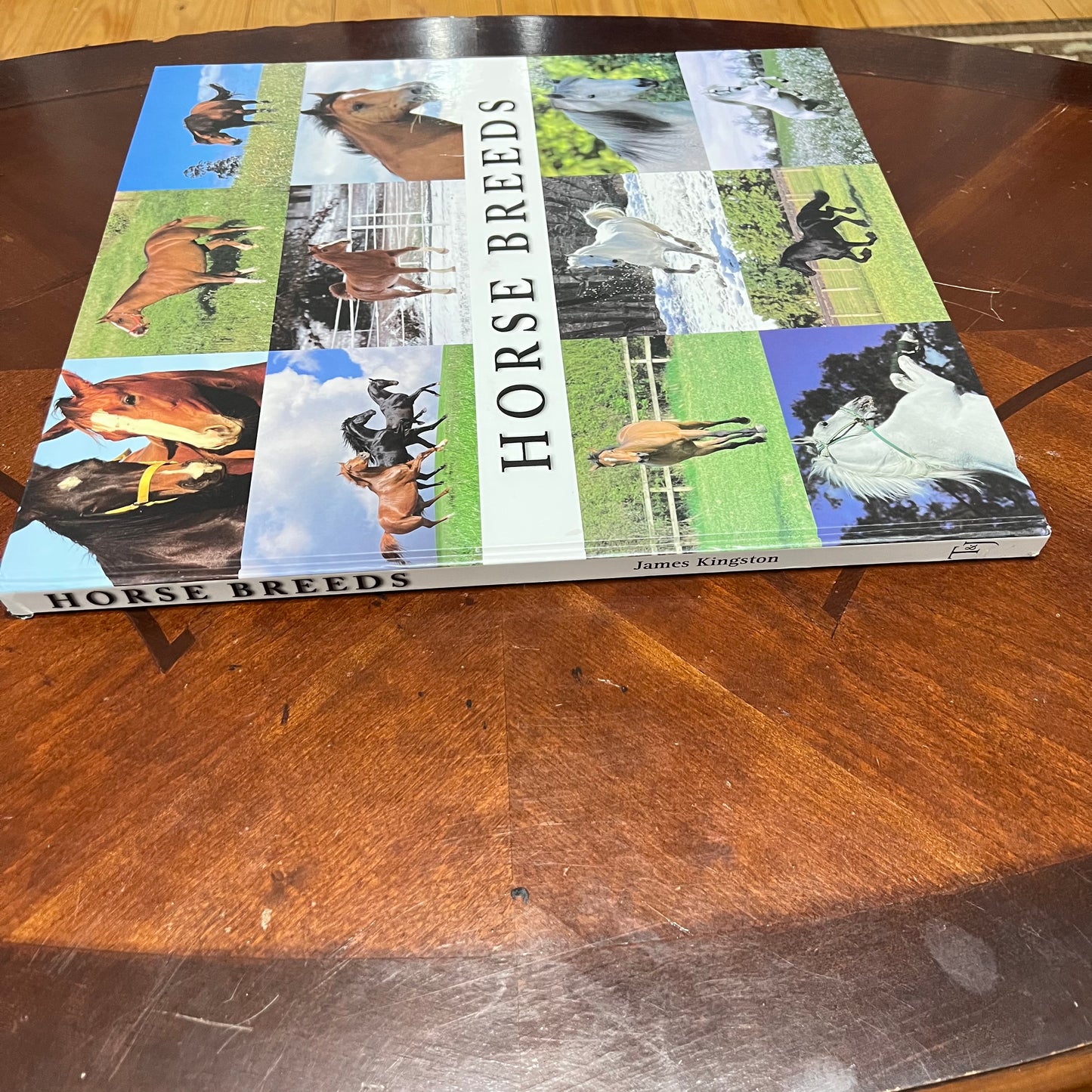 HORSE BREEDS JAMES KINGSTON VINTAGE LARGE XL HARD COVER BOOK