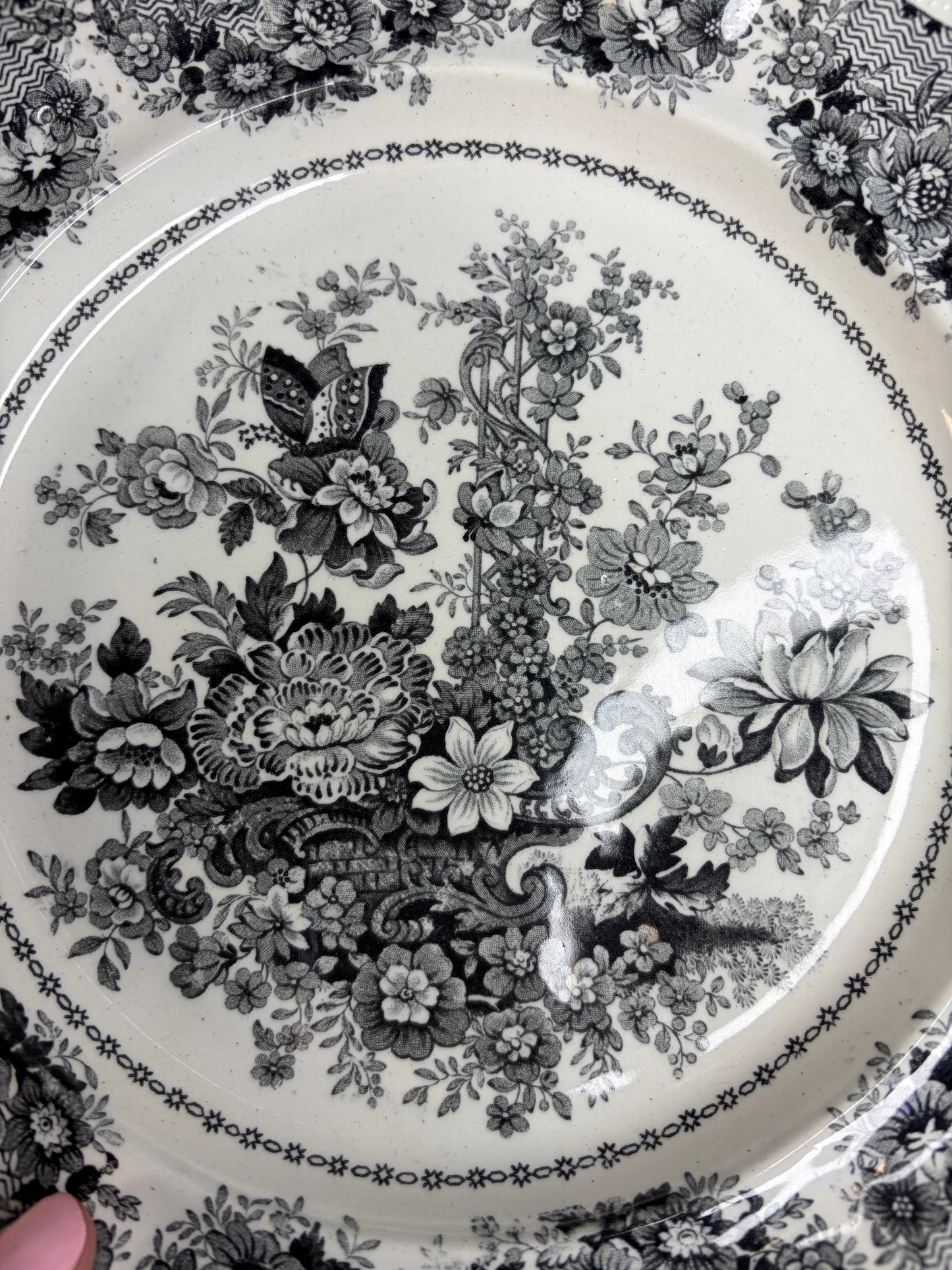 Antique Ridgeway Tucson Rose black and white transferware plate!