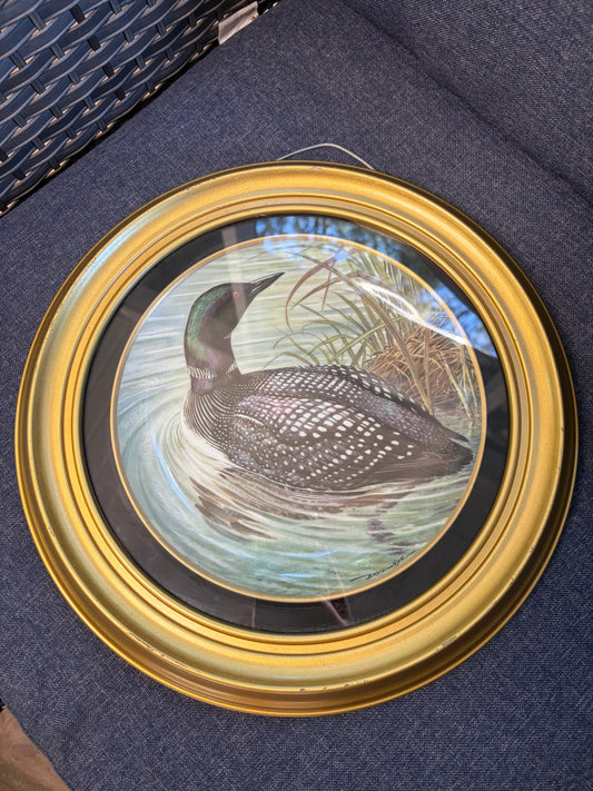 Lovely framed duck plate!