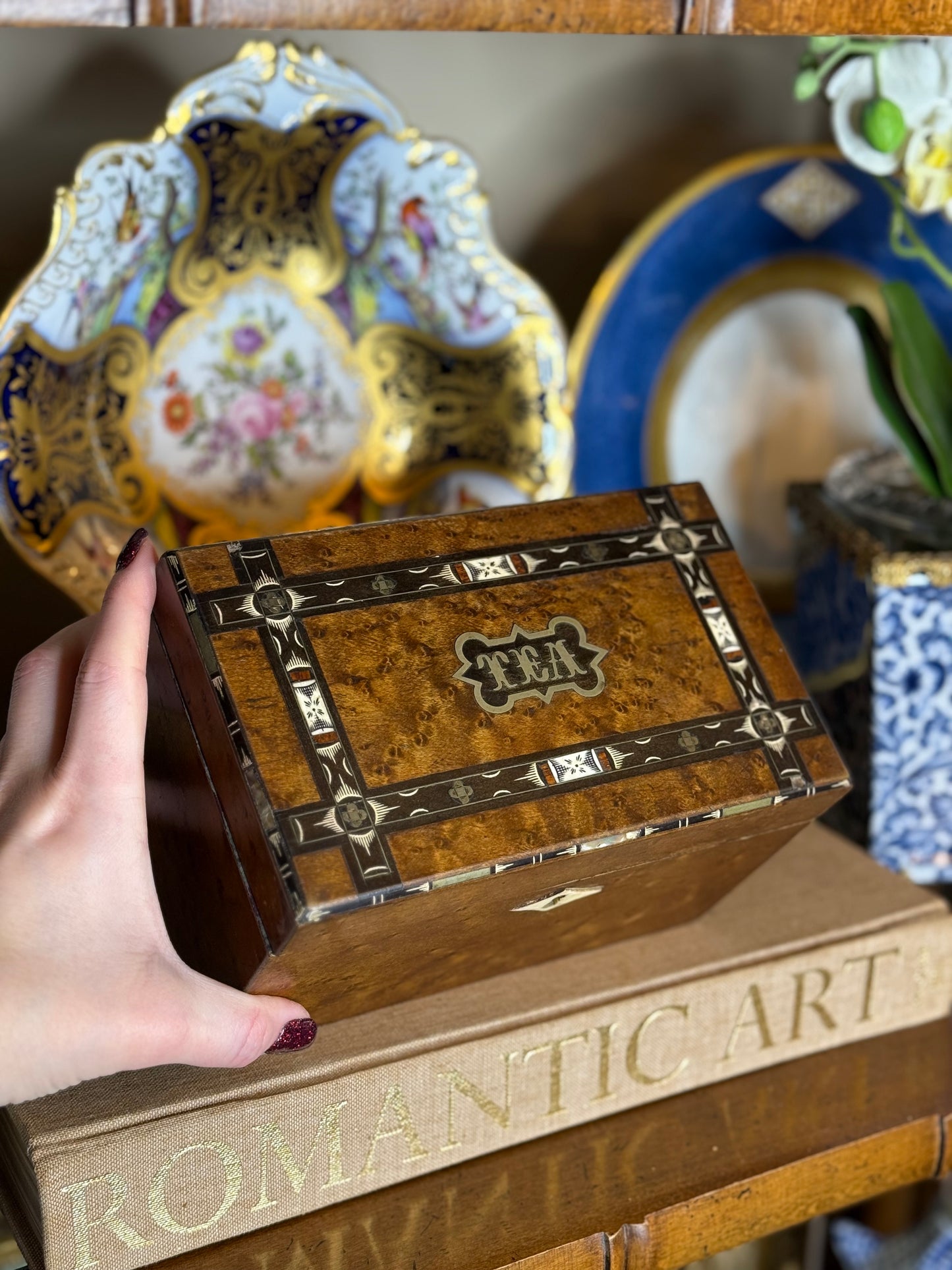 Antique English BIRDS EYE MAPLE Wood “Tea” Caddy with Bone & Mother-of-Pearl Inlay, c. 1820–1850