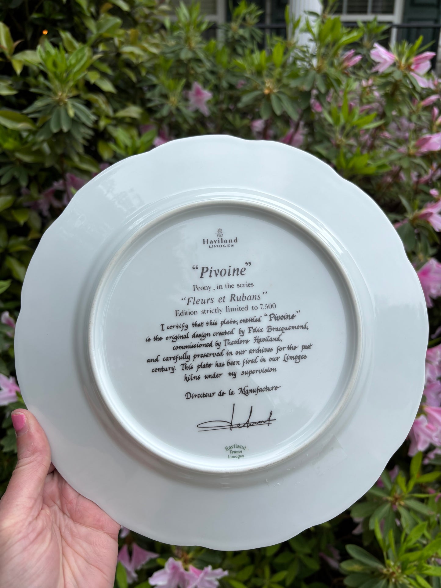 Lovely Haviland Limoges set of 3 floral plates! Instant plate wall!