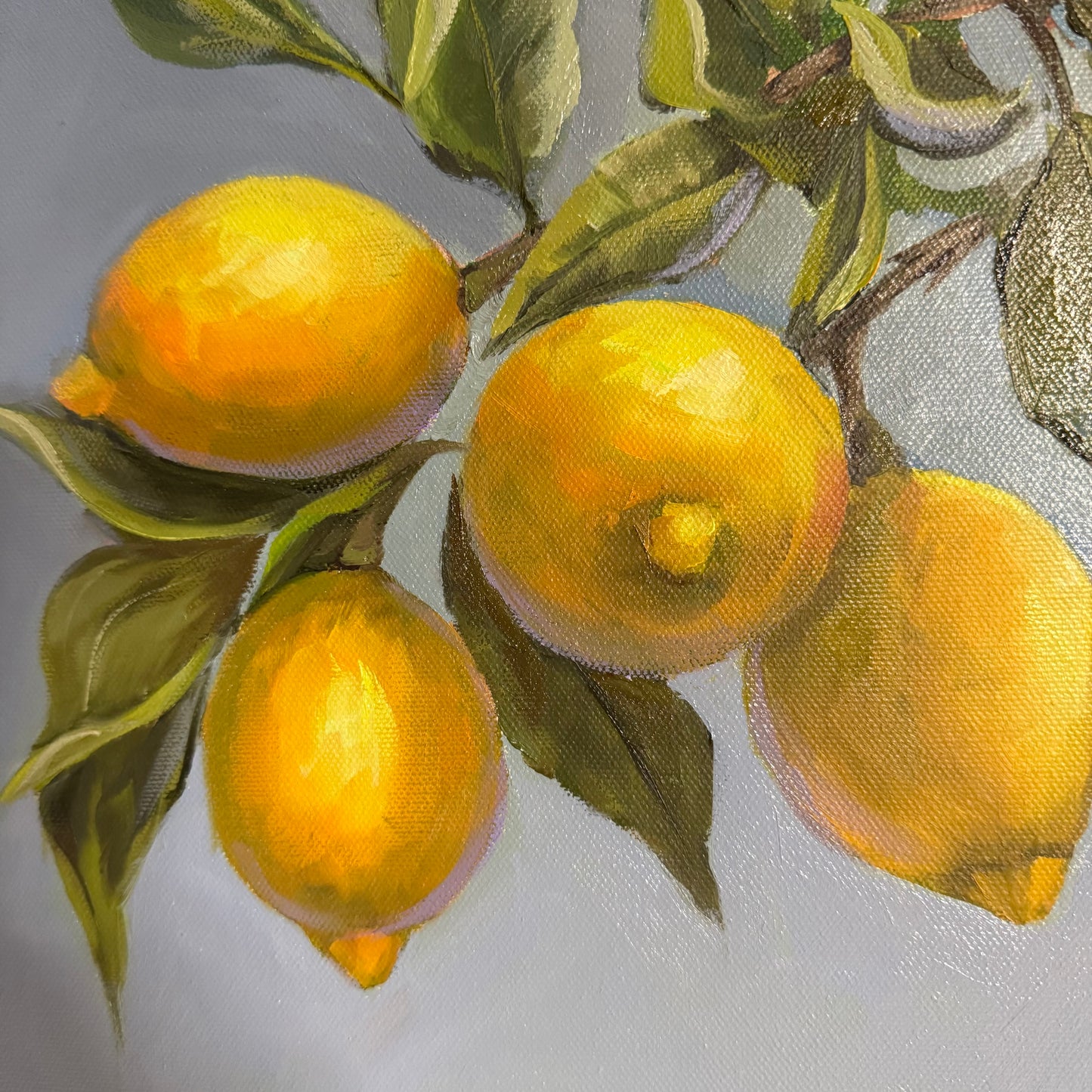 Lemons unframed oil painting 12x12”