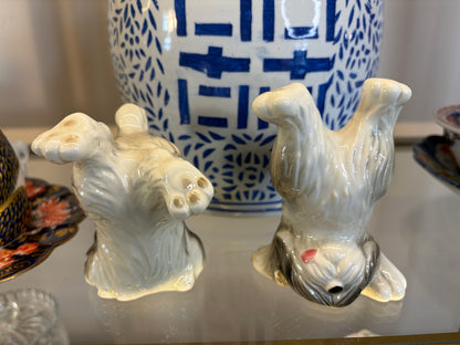 Sweetest tumbling sheep dogs pair!