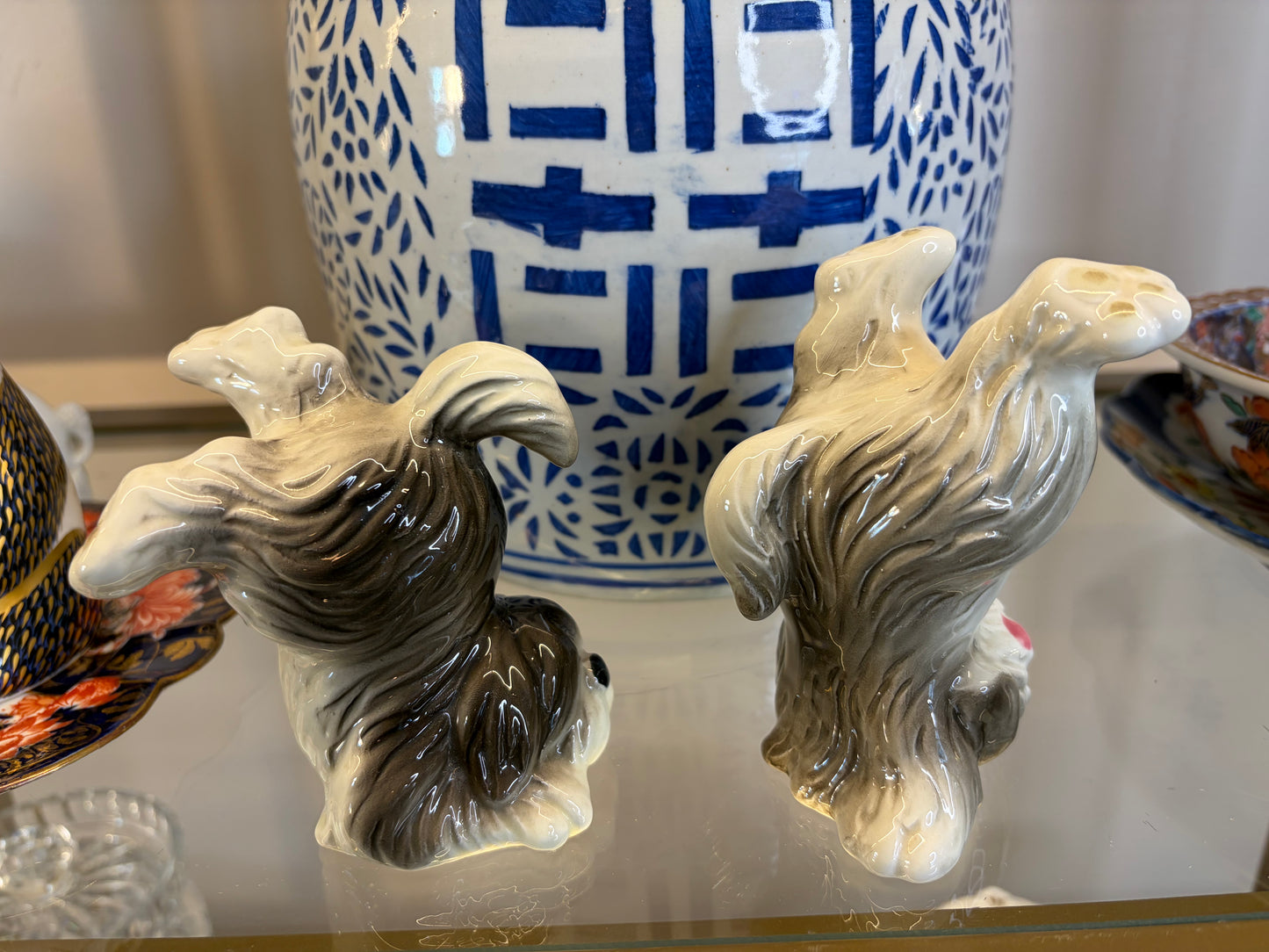 Sweetest tumbling sheep dogs pair!