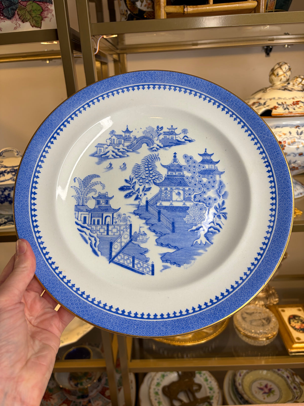 Stunning antique Royal Worcester Blue Willow dinner plates with gold rim set of 4!