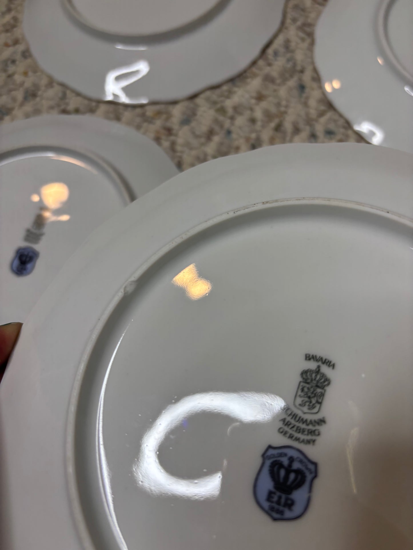 Beautiful Bavaria Fruit Plates set of 6!