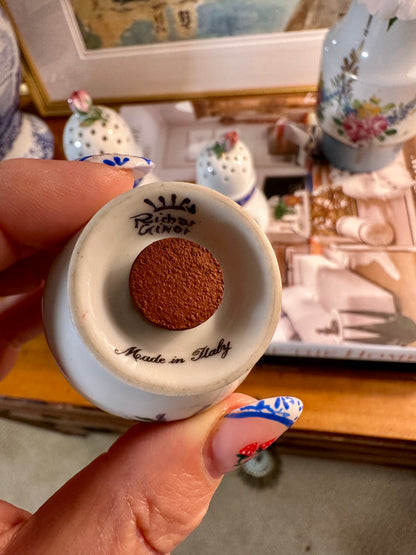 GORGEOUS Richard Ginori Princess Blue Porcelain Sugar Shaker Set, Made in Italy