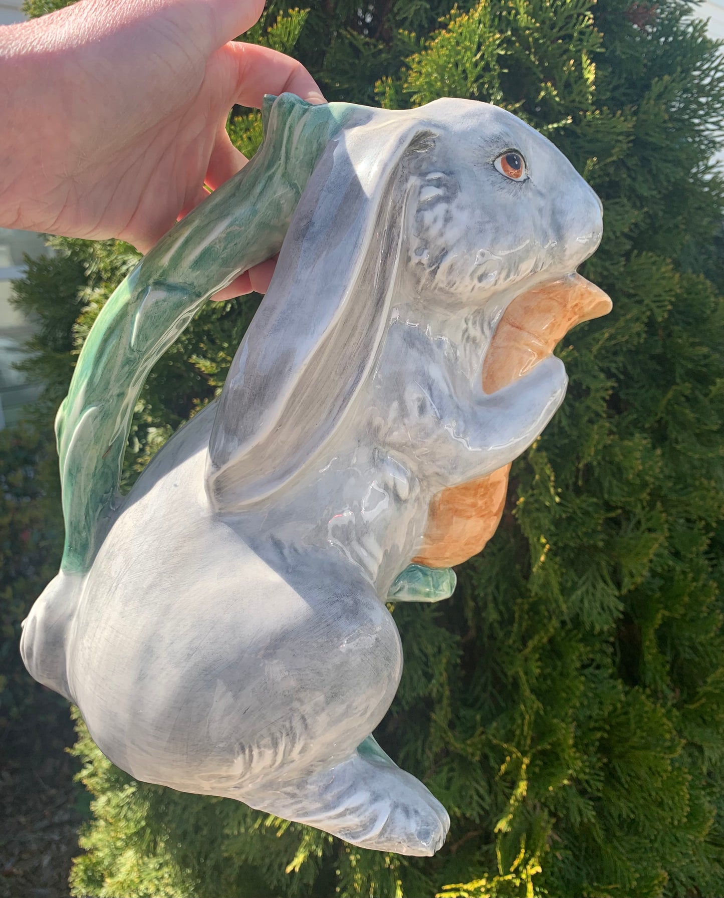 Sweetest Italian floppy eared bunny pitcher!