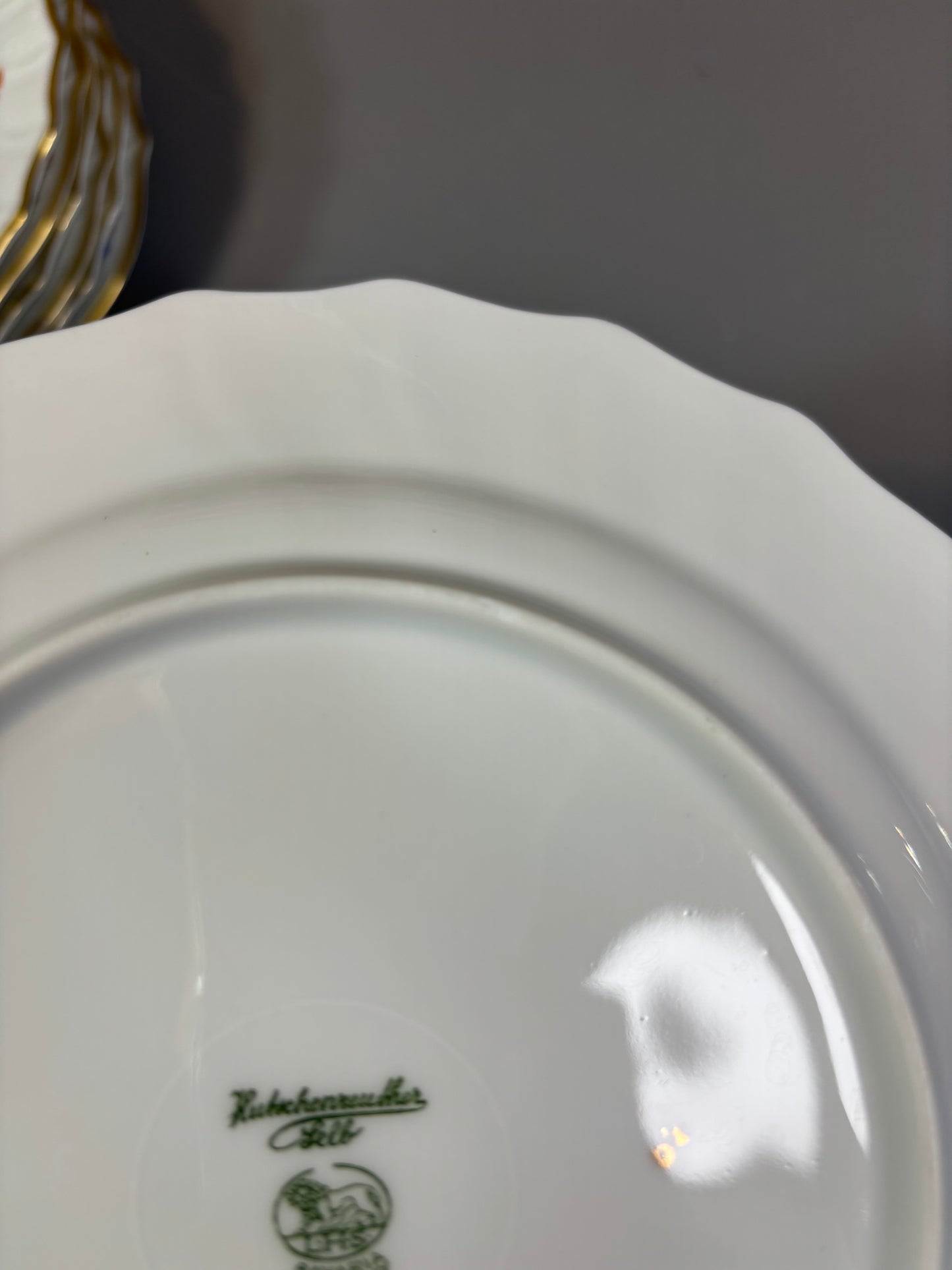 Gorgeous Hutschenreuther Moritzburg Dresden floral plates set of 8!