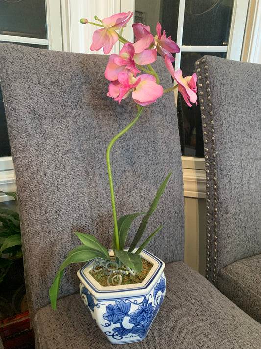 Faux Potted Orchid in Blue and White Planter