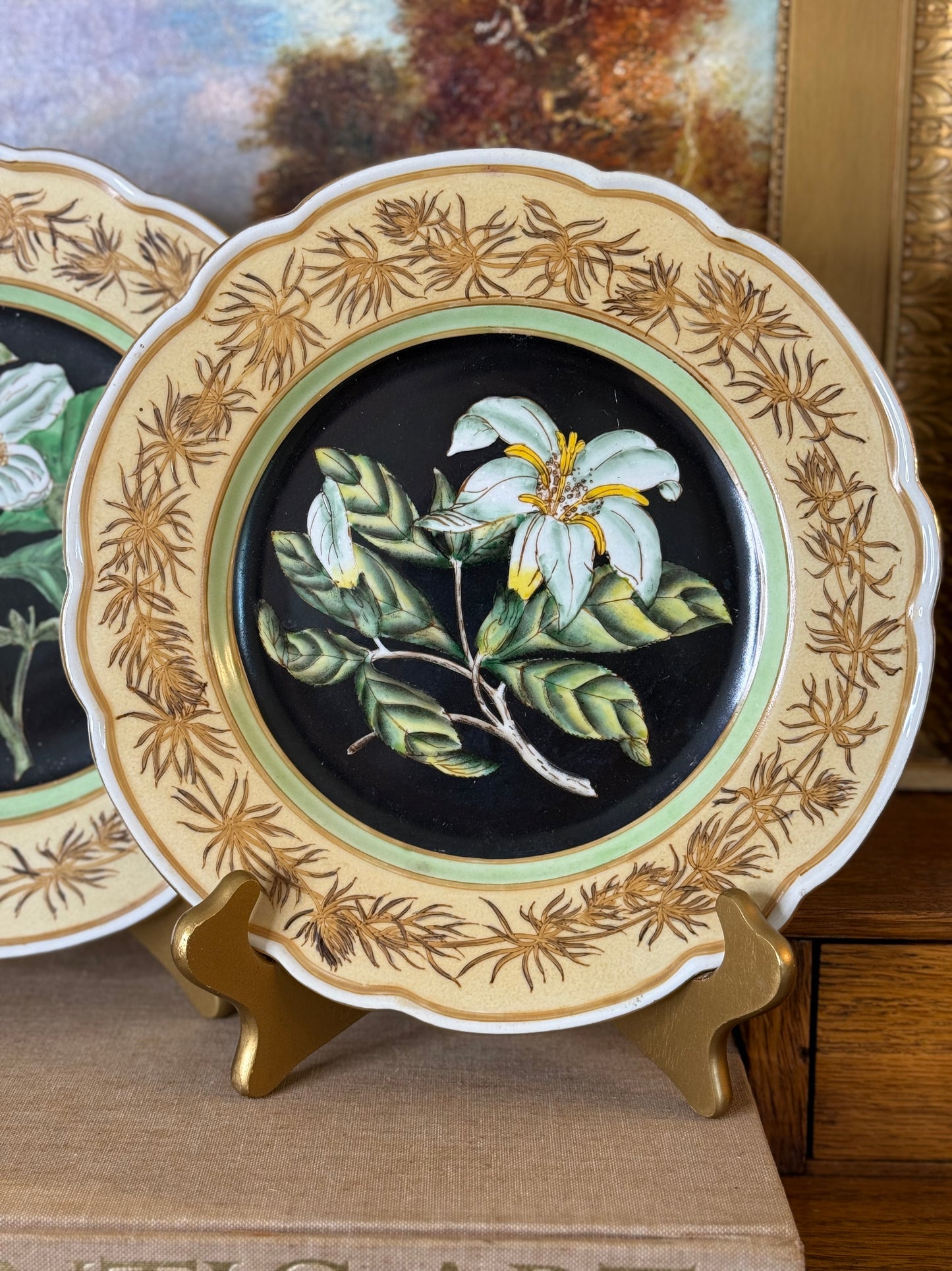Danny’s Fine Porcelain - Hand-Painted Botanical Porcelain Plate Pair