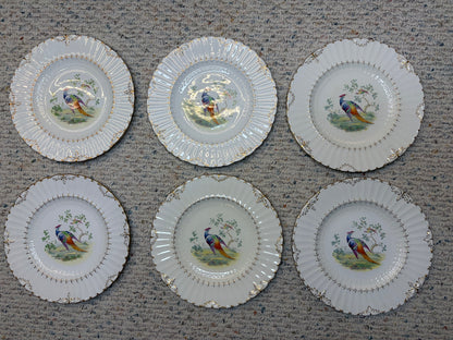 Gorgeous Royal Crown Derby Lowestoft Pheasant plates set of 6! As is!