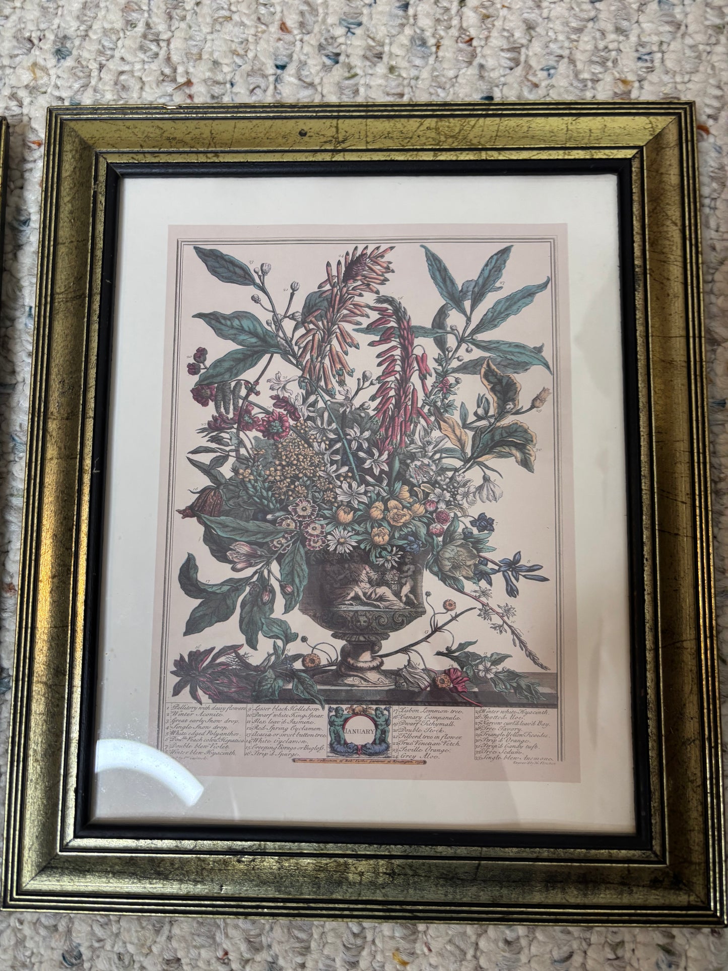 Framed Robert Furber January month print!
