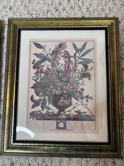 Framed Robert Furber January month print!