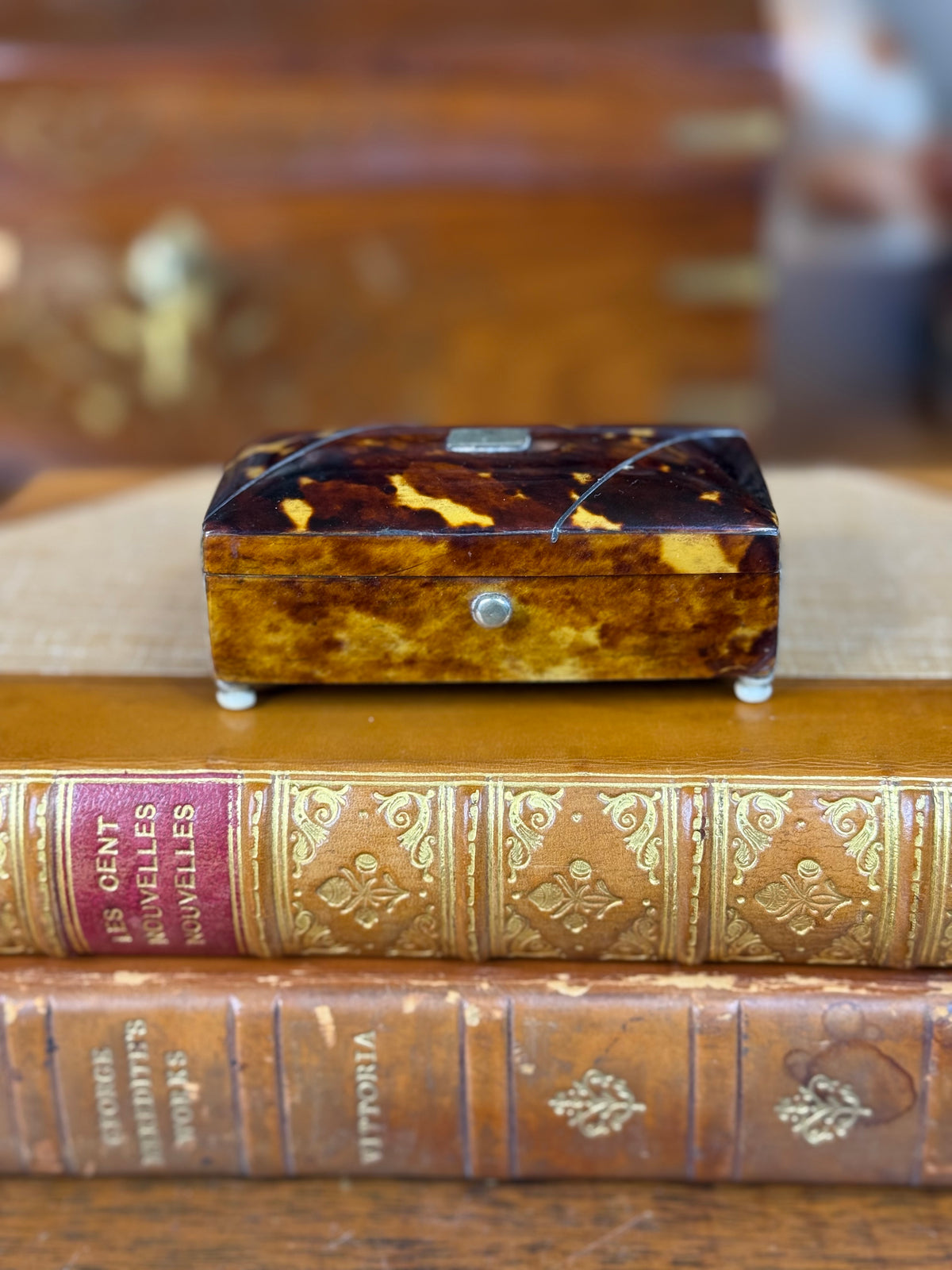 Antique English Tshell Trinket Snuff Box with Silver Cartouche & Bone Feet, c. 1900–1920 – 3”W