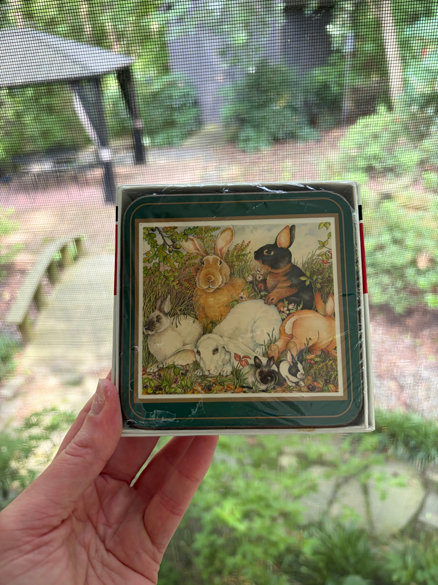 Pimpernel bunny coasters set of six in original box and wrapped!
