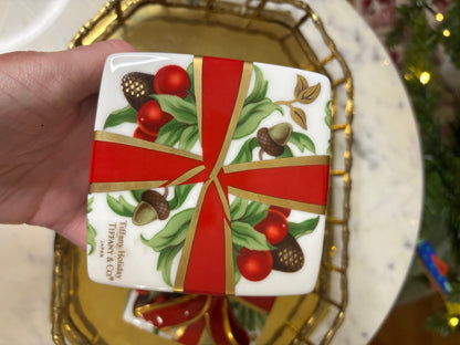 Stunning Tiffany & Co. present box!