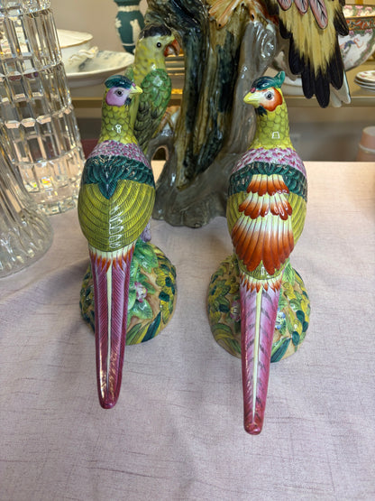 Stunning Andrea by Sadek pheasants pair!