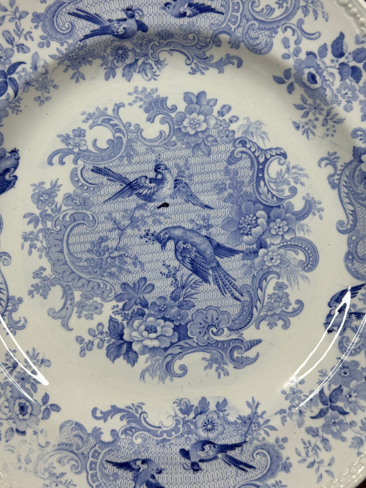Pair of Wedgwood Blue & White Bird Design Plates | c.1884 | 10.25” D | #DA4599