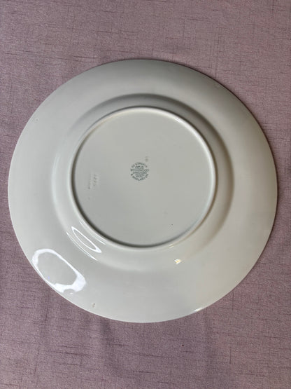 Lovely Wedgwood Queensware pink and white dinner plate!