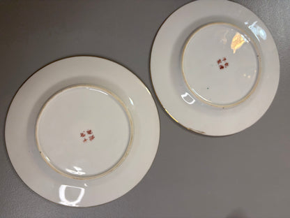 Gorgeous Famille Rose plates pair!