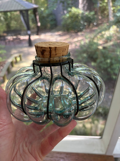 Sweetest pumpkin blown glass encased metal pumpkin!