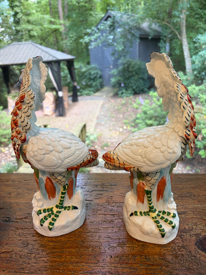 Stunning Mottahedeh Italian birds pair!