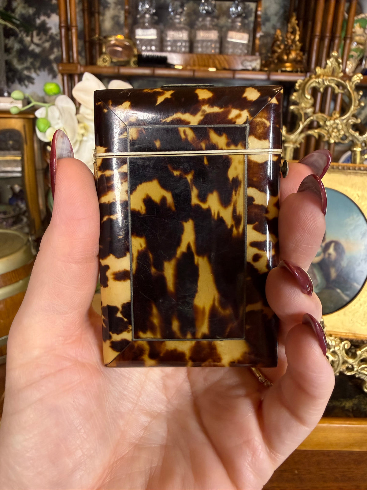 Antique Victorian TShell🐢🤎 Calling Card Case | Carved Mother-of-Pearl & Sterling Silver Panel | Red Velvet Interior | 3.5” × 2.25”