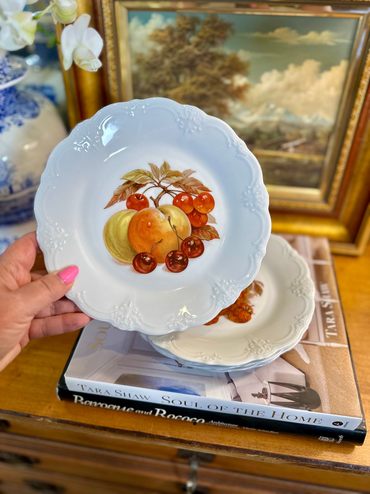 Fruit Harvest Baronesse Salad Plates by Tirschenreuth, Set of 5, Made in Germany, 8.25”