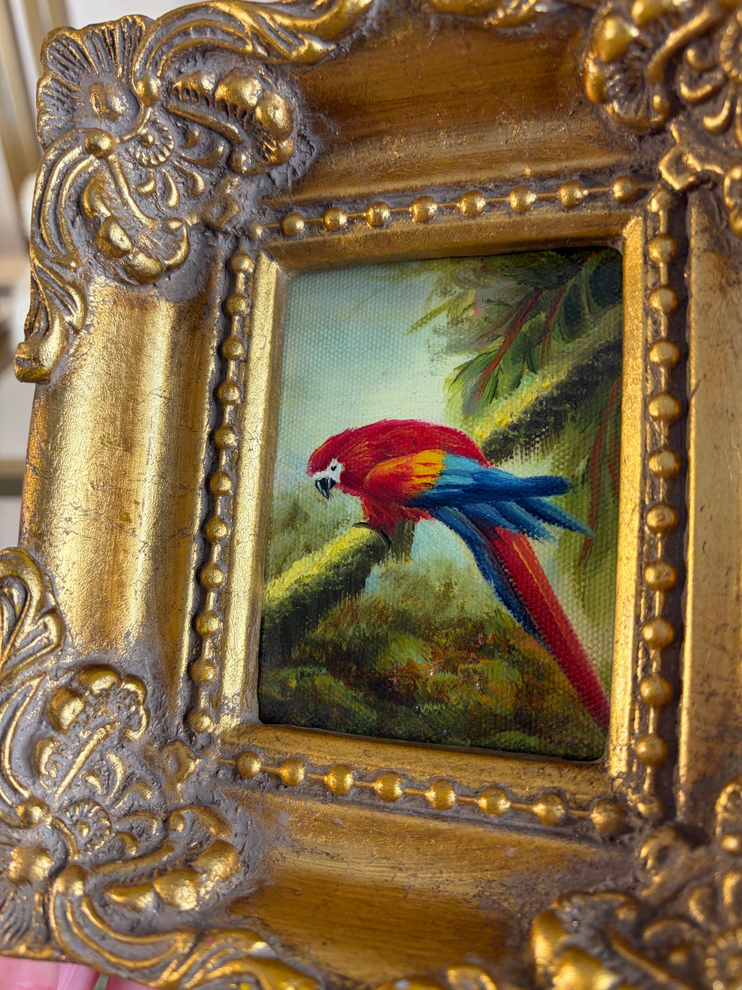 Beautiful original framed mini parrot painting!