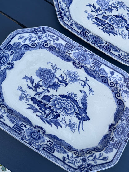 Antique Pair (2) Mason's Ironstone "India Pheasant" Blue & White Platters | Pair | Large & Small | c.1820 | Styles DA4493 & DA4494
