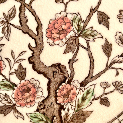 Set of 18 vintage Kashmir tree stunning scalloped dinner plates 10d