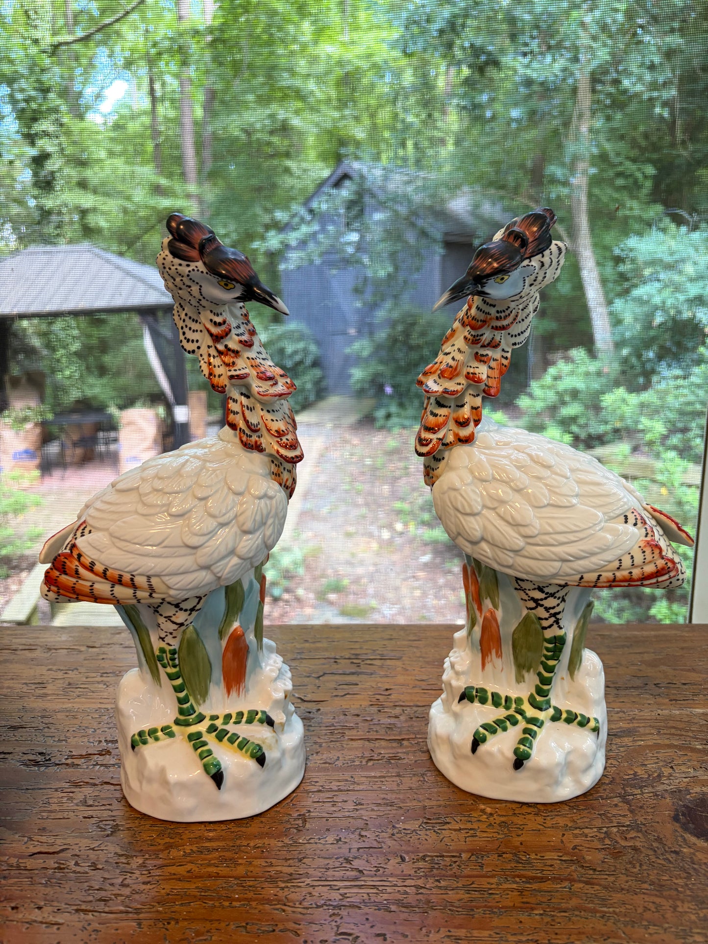 Stunning Mottahedeh Italian birds pair!