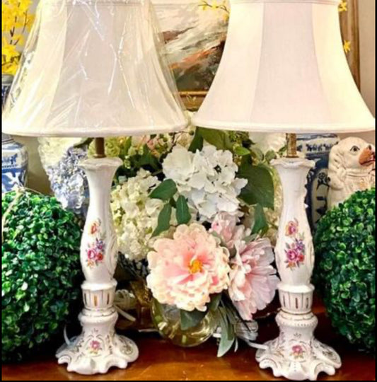 Delightful Pair Vintage floral botanical Porcelain Lamps